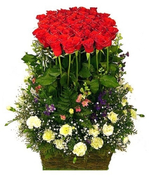  Profile Photos of Rose N Petals F52, Main Market, Rajouri Garden - Photo 1 of 2