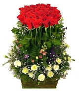 Rose N Petals, New Delhi