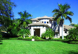 Natural Green Lawn Spraying, Pinellas Park