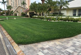 Natural Green Lawn Spraying, Pinellas Park