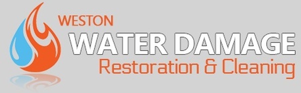  Profile Photos of Weston Water Damage 304 Indian Trace #916 - Photo 1 of 1
