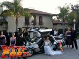  Back to the Future Delorean Hire 8 Walmer Gardens 