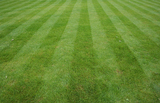 green grass Lawn cut with stripes background Siesta Lawn Care 117 Buckingham St 