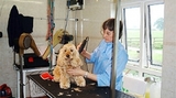  Park Lane Kennels Park Lane Executive Kennels Moss View Farm Parkside Rossett Wrexham LL12 OBL United Kingdom 