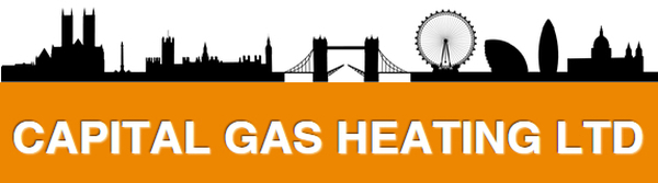  Profile Photos of Capital Gas Heating Limited 42 Meads Lane Ilford, Greater London - Photo 1 of 6