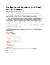 Menus & Prices, Sharm El Sheikh Excursions, cairo