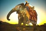 Tours Rajasthan India, New Delhi/ Delhi
