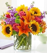 Maya Flowers, Ambala