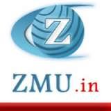 ZMU Web Services, New Delhi