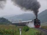  Trenuri de epoca S.F.T. - C.F.R. S.A. Str. Colonel Stefan Stoica 27, Camin Grand, sector 1 