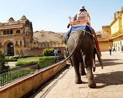 Profile Photos of Travel Agent Delhi - Joy Travels Pvt.Ltd 8,Regal Building, Connaught Place - Photo 6 of 10