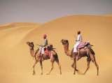 Travel Agent Delhi - Joy Travels Pvt.Ltd, New Delhi