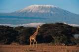 Climbing mount kilimanjaro packages Travel tips, travel writer, wildlife safaris, kilimanjaro climb  