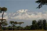 Kilimanjaro tours Travel tips, travel writer, wildlife safaris, kilimanjaro climb  