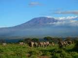 Climbing kilimanjaro Travel tips, travel writer, wildlife safaris, kilimanjaro climb  
