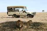Tanzania safaris game drives Travel tips, travel writer, wildlife safaris, kilimanjaro climb  