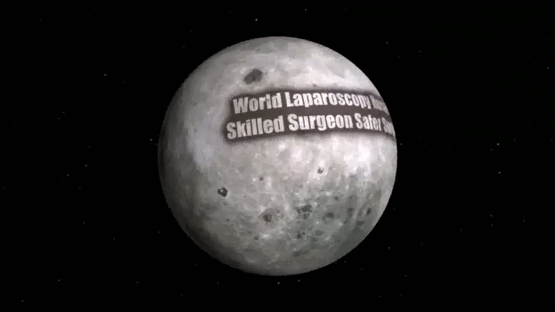 wlh.mp4