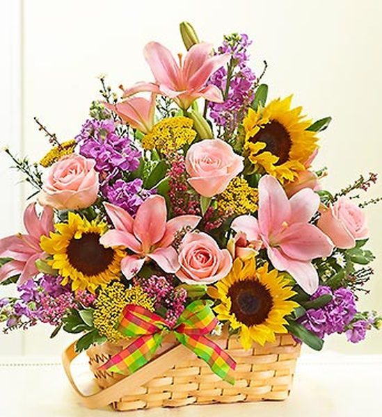 Profile Photos of ArenaFlowers - Ghaziabad Ankur Vihar, Ghaziabad - Photo 1 of 4