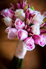 ArenaFlowers - Ghaziabad, Ghaziabad