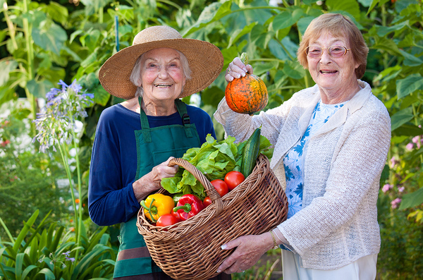 Alzheimers-and-Dementia Profile Photos of Here to Care for Seniors 251 Consumers Rd Ste 1200 - Photo 2 of 6