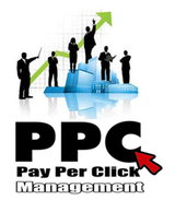 PPC Company in Noida- Online Net India, Noida