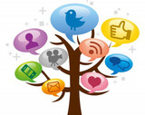 Affordable SMO Services in Noida- Online Net india, Noida