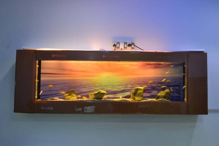  Profile Photos of Aquarium Design India Spencer Plaza,769.Anna Salai, Mount Road - Photo 8 of 13