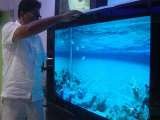  Aquarium Design India Spencer Plaza,769.Anna Salai, Mount Road 