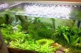  Aquarium Design India Spencer Plaza,769.Anna Salai, Mount Road 