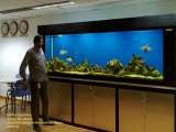 Aquarium Design India, CHENNAI