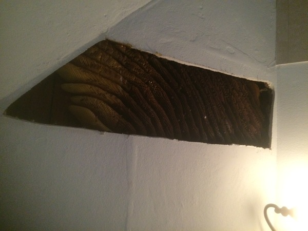  Profile Photos of Miami Bee Removal Corp. 235 NW 72nd Ave # 26 - Photo 3 of 9