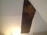  Miami Bee Removal Corp. 235 NW 72nd Ave # 26 