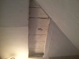 Miami Bee Removal Corp., Miami
