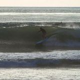 Primerica Financial: John Botica, Torrance