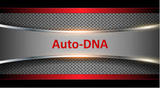 Auto-DNA, Verulam