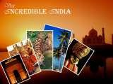 TRAVEL SEASON TOURS, Karol Bagh
