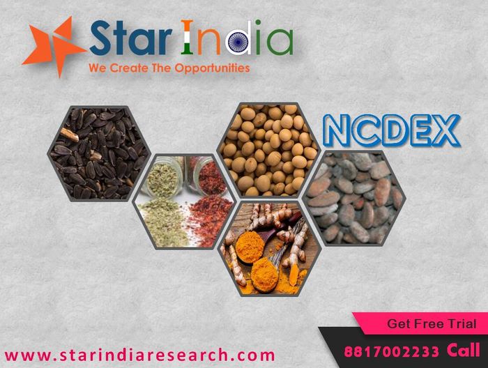  New Album of Star India Market Research 307 B-Block, 3rd floor, Corporate House. Beside DAVV University & Central Mall Regal Square - Photo 13 of 15