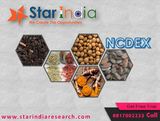  Star India Market Research 307 B-Block, 3rd floor, Corporate House. Beside DAVV University & Central Mall Regal Square 