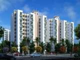 Real Estate Portal in India, Gurgaon