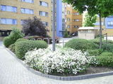  DIGITAL CAMERA , World Wide Plants, Bexley