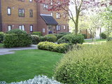  DIGITAL CAMERA , World Wide Plants, Bexley