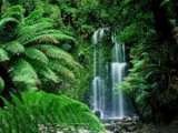 GlobalNaturalHealthandBeauty, Chesham
