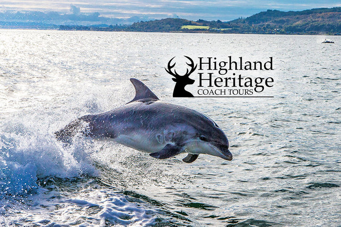 Witness amazing Scottish Se life with with Highland Heritage Coach Tours Profile Photos of Highland Heritage Coach Tours Central Administration Office - Photo 3 of 24 Witness amazing Scottish Se life with with Highland Heritage Coach Tours Profile Photos of Highland Heritage Coach Tours Central Administration Office - Photo 3 of 24