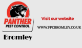 Pest Control Service Bromley, London