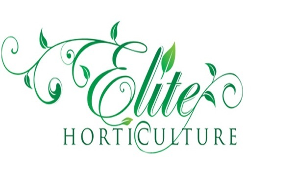  Profile Photos of Elite Horticulture Services 1069 SE 12th - Photo 1 of 1
