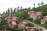 United-21 Paradise, Ooty