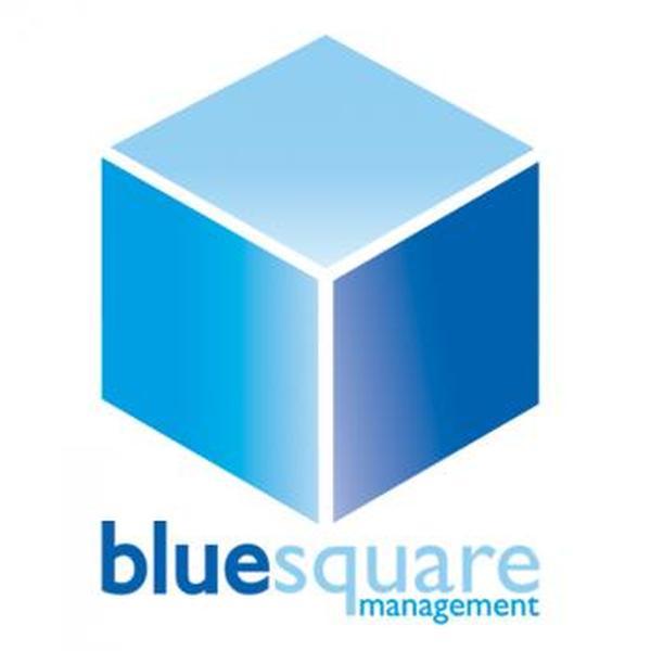 Profile Photos of Blue Square Management 9 Grange Rd - Photo 1 of 4