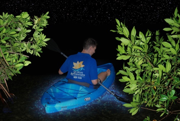 cayman bioluminescence tour Profile Photos of George's Watersports Yacht Dr, Cayman Islands Yacht Club, Dock B, West Bay - Photo 11 of 20