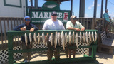  Ingleside Fishing Charter 325 Woodhaven Dr 