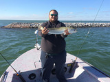 Ingleside Fishing Charter, Ingleside